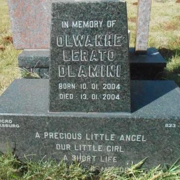 DLAMINI Olwakhe Lerato 2004-2004