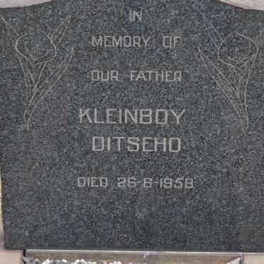 DITSEHO Kleinboy -1958
