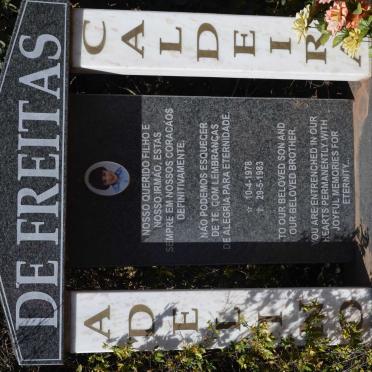 FREITAS Adelino Caldeira, de 1978-1983
