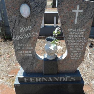 FERNANDES Joáo Concalves 1966-2000