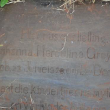 GREYLING Johanna Herculina 1928-1929