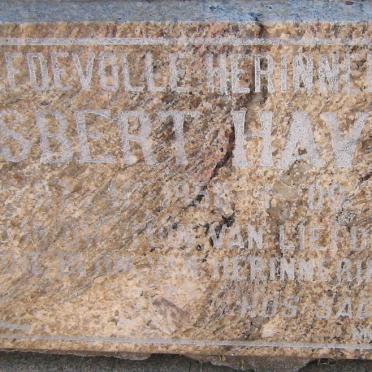 HAVENGA Gysbert 1959-2008
