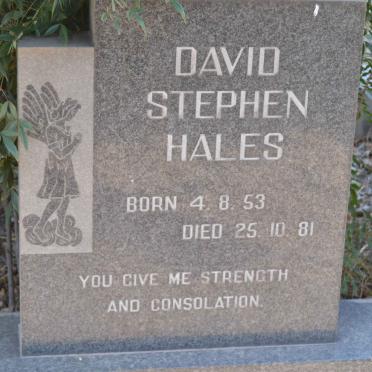 HALES David Stephen 1953-1981