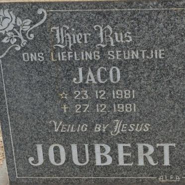 JOUBERT Jaco 1981-1981