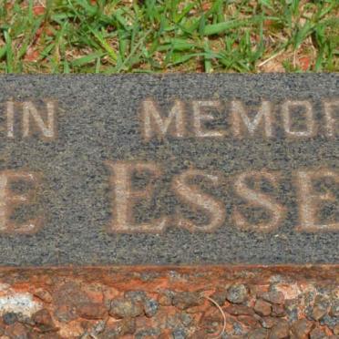 KEMP Anne Essery