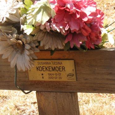 KOEKEMOER Susanna Gesina 1964-2012