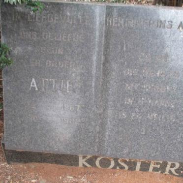 KOSTER Attie 1967-1982
