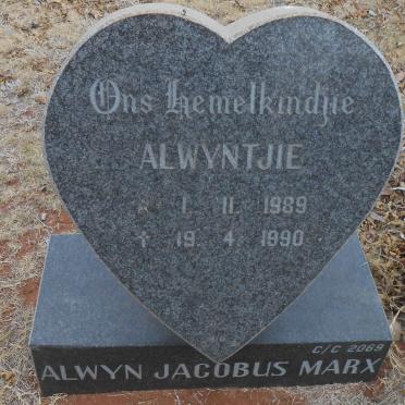 MARX Alwyn Jacobus 1989-1990