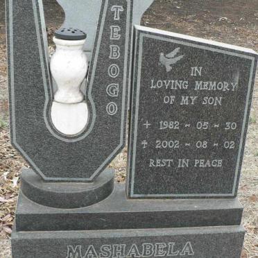 MASHABELA Tebogo 1982-2002