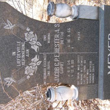 MEYER Jacob C. P. E. 1954-1980 &amp; Hester A. S. 1955-