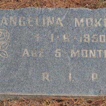 MOKOENA Angelina -1950