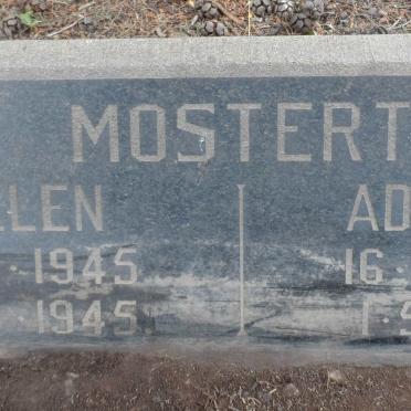 MOSTERT Ellen 1945-1945 :: MOSTERT Adriaan 1950-1951