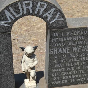 MURRAY Shane Wesley 1978-1982