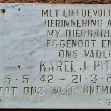 PITZER Karel J. 1942-1984