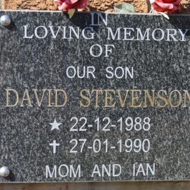 STEVENSON David 1988-1990