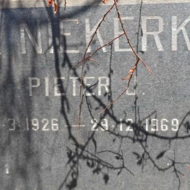 NIEKERK Pieter J., van 1926-1969