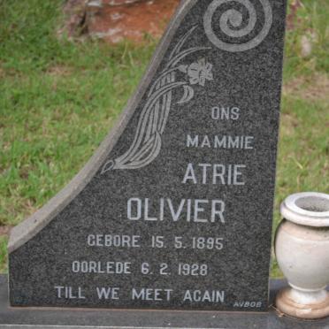 OLIVIER Atrie 1895-1928