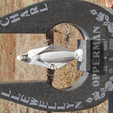OPPERMAN Llewellyn Charl 1982-2000