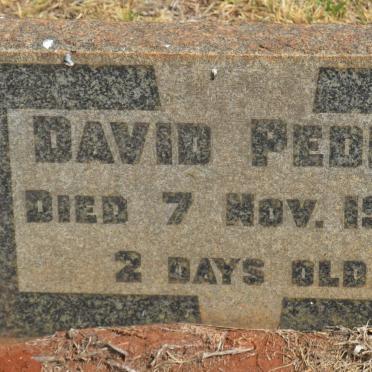 PEDRO David -1949