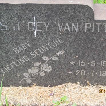 PITTIUS A.S.J., Gey van 1949-1949