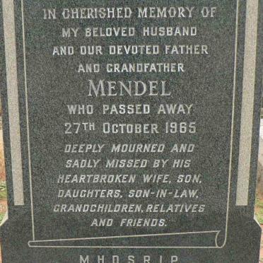 PLEAT Mendel -1965