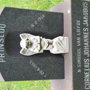 PRINSLOO Cornelius Johannes Jakobus 1955-1956