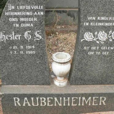 RAUBENHEIMER Hester G.S. 1914-1985