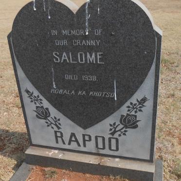 RAPOO Salome -1938