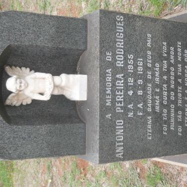 RODRIGUES Antonio Pereira 1955-1961