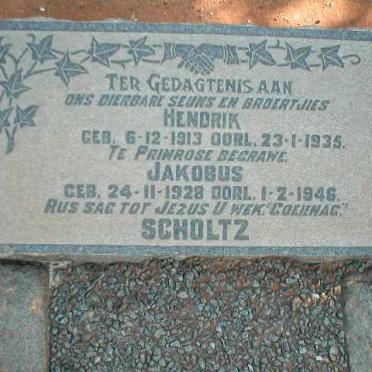 SCHOLTZ Hendrik 1913-1935 :: SCHOLTZ Jakobus 1928-1946