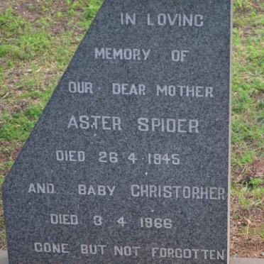 SPIDER Aster -1945 :: SPIDER Christopher -1966