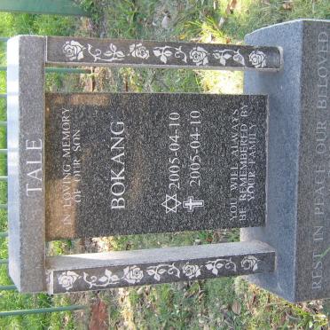 TALE Bokang 2005-2005