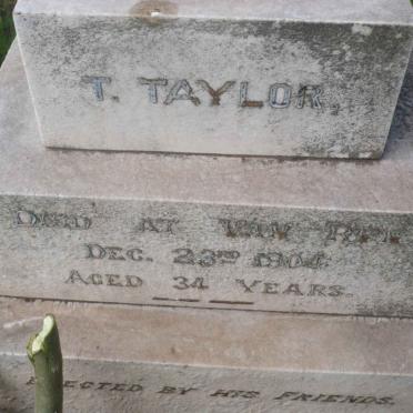 TAYLOR T. -1904