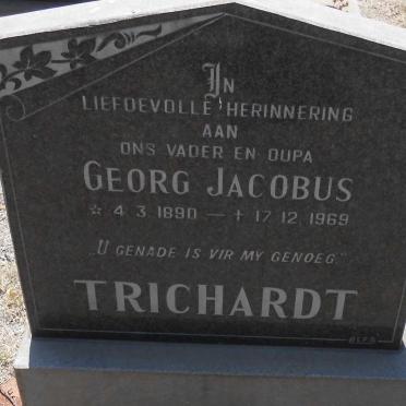 TRICHARDT Georg Jacobus 1890-1969