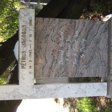 WALT Petrus Jacobus, van der 1943-1996