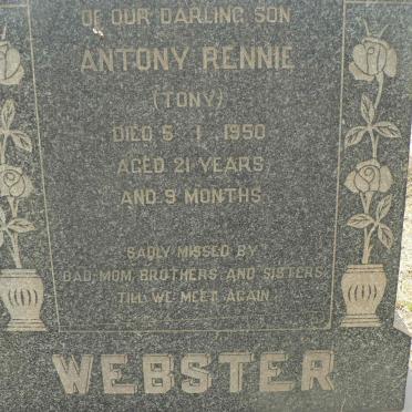 WEBSTER Antony Rennie -1950