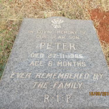 ? Peter -1955