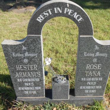 ARMANUS Hester :: TANA Rose