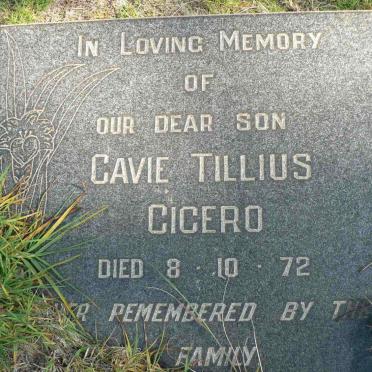 CICERO Cavie Tillius -1972