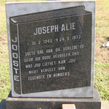 JOOSTE Joseph Alie 1948-1975 :: JOOSTE Joey 1948-1975 :: JOOSTE Allen 1952-1997