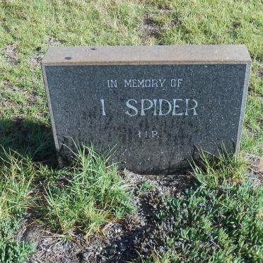 SPIDER I.