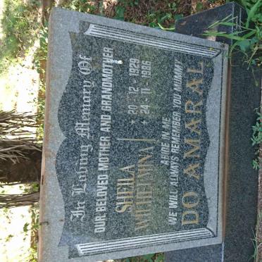AMAREL Sheila Wilhelmina, do 1929-1986