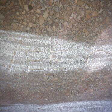 VEE Carl, de 1935-1983