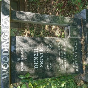 WOODINGTON Denzil Monté 1963-1986