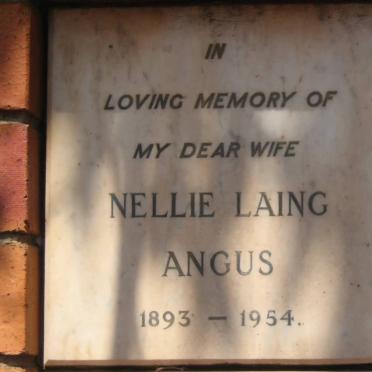 ANGUS Nellie Laing 1893-1954