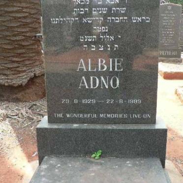 ADNO Albie 1929-1999