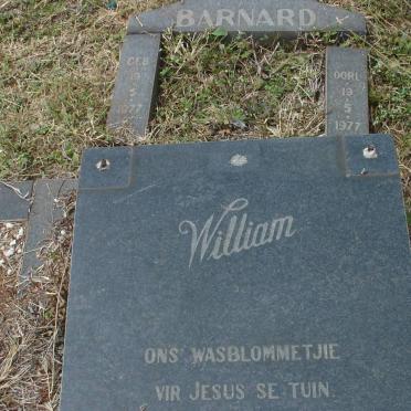 BARNARD William 1977-1977