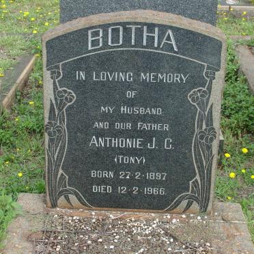 BOTHA Anthonie J.C. 1897-1966