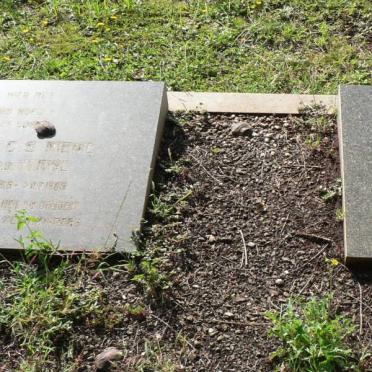 BOTHA Philip Rudelph 1917-1972 :: MERWE Hermina, vd nee VD MERWE 18??-19??