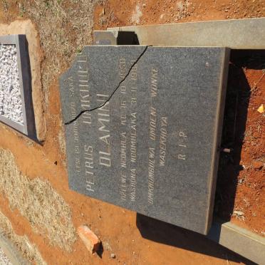 DLAMINI Petrus Umkhulu 1950-1980